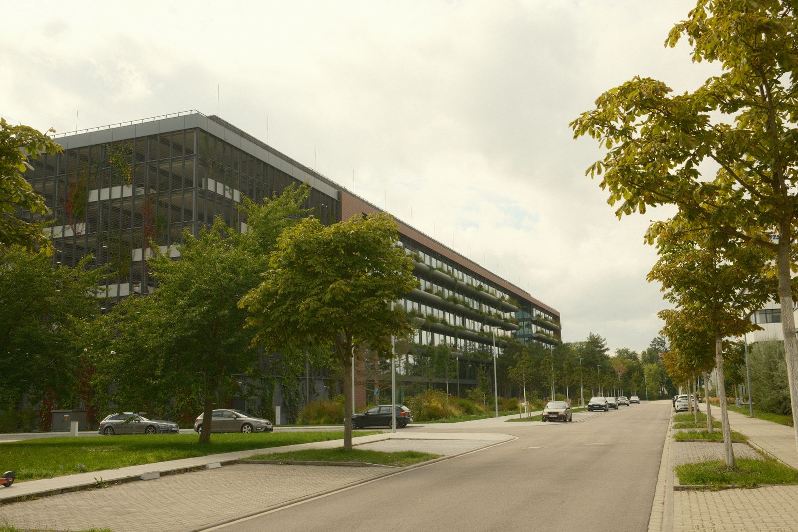 a path with trees on the side of a road Low-rise office building beside a tree-lined suburban street