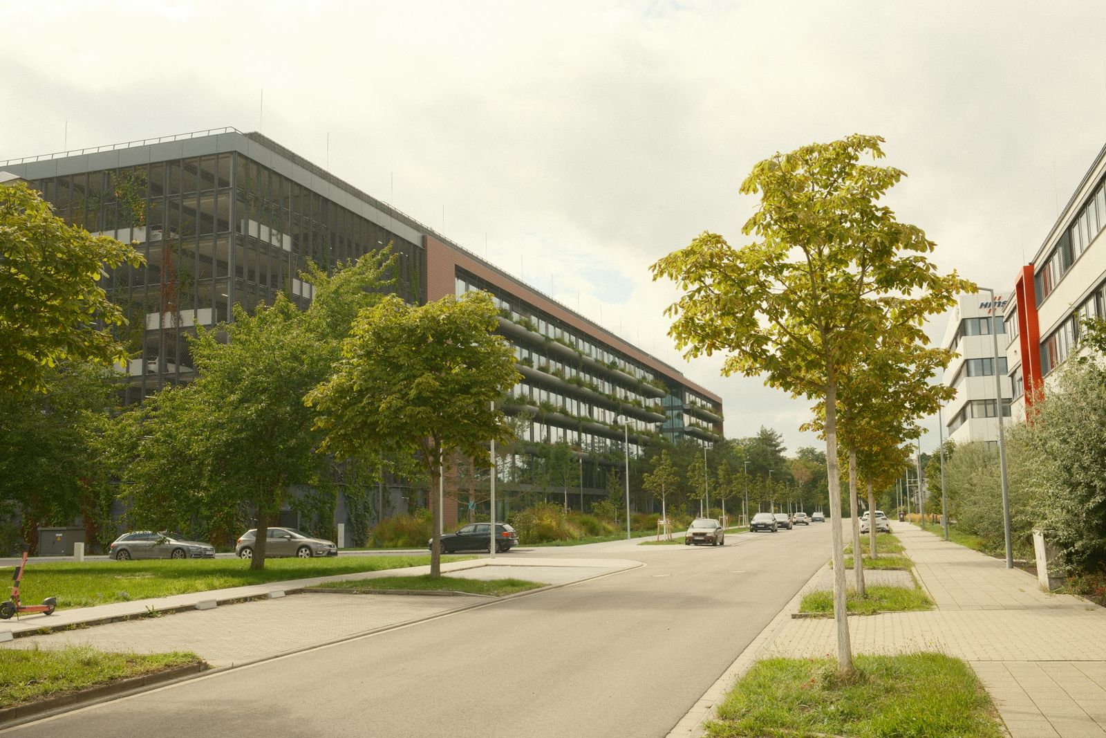an empty road with trees on the side of a building Suburban office park buildings along a tree-lined street with parked cars