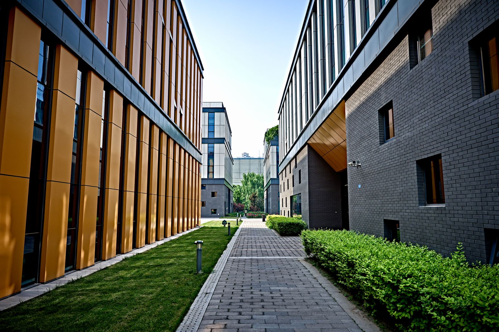 Two modern low-rise office buildings on a landscaped campus walkway